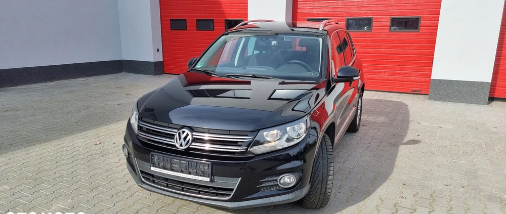 Volkswagen Tiguan cena 48700 przebieg: 208850, rok produkcji 2012 z Wojnicz małe 67